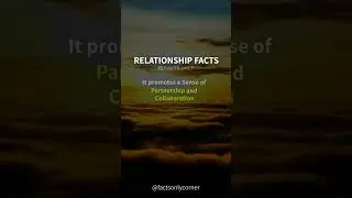 Relationship Facts: Strengthen Your Bond with Shared Goals