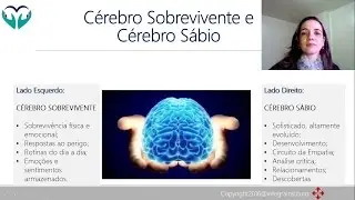 APLICANDO A INTELIGENCIA POSITIVA - AULA 1 - conhe&ccedil;a os seus sabotadores