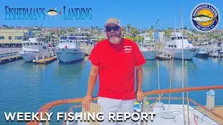 SoCal Weekly Fish Report 9/12/25 | Carl Schmidt + Lobster Tackle Tips with Ray Benedict!