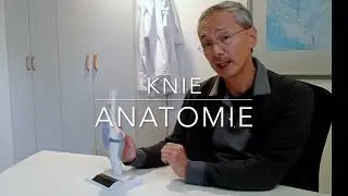 Knie anatomie