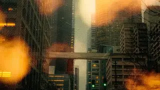 ВАК - Дни недели
