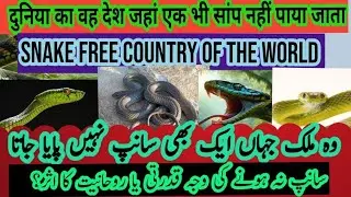 snake free country of the world / एक ऐसा देश जहां नहीं पाया जाता एक भी सांप! / newzeland  history