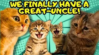 When a Cat Introduce his Kitten to Their New Great-Uncle (part 2) (Ep.551)