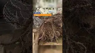 🚨🌪️ Antibes ravaged by powerful gusts! Extreme Weather Alert: France's Battle Against Natural Force