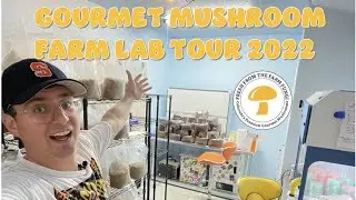 Gourmet Mushroom Farm Lab Tour 2022