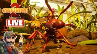 Grounded 2 Live! Cool New Base! Exploring Pine Hill & Killing Lots Of Bugs!