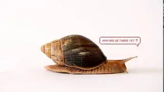 Tune Talk : Are We There Yet?