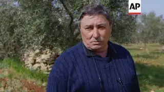 The success of Istrian Olive Oil
