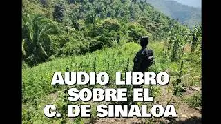 AUDIO LIBRO SOBRE EL C. DE SINALOA