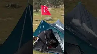 Mayıs ayında kış kampı
