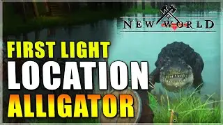 First Light Alligator Location New World