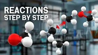 How to Understand Reaction Mechanisms Using Molymod Models