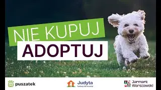 Nie kupuj, adoptuj - PUSZATEK!