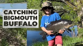 Catching a Massive Bigmouth Buffalo