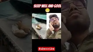 sleep well and good #cat #cute #pets #funny #cutecat #kucing