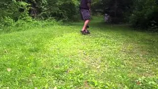 Mini Australian Labradoodle in training