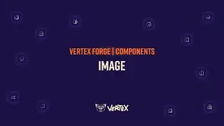 Vertex Forge | Components 101 - Image