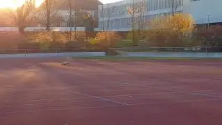 Nitro Buggy Rex mit Tuning Kr&uuml;mmer