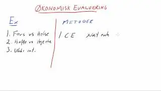 &Oslash;konomisk evaluering