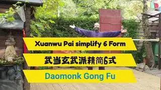 Wudang Xuan Wu Pai Simplify 6 Form - Bern