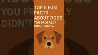 WhiskerWisdom: Top 5  Dog Facts That Will Blow Your Mind