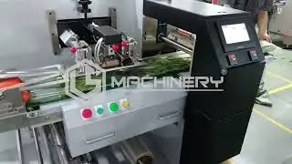 Horizontal Packaging Machine SZ-280 - Vegetables ／  LS SMART MACHINERY