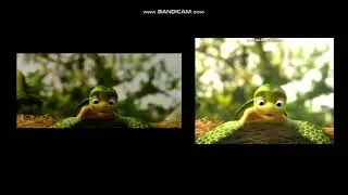nWave Studios a turles tale Sammy Adventure Widescreen Vs Full screen (2010)