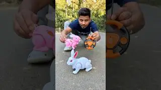 Pink and White Remote Control Khargosh delm