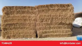 Bagging hay