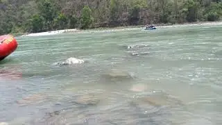 Shivpuri rafting point Rishikesh Uttrakhand