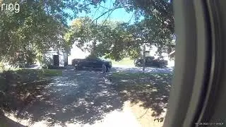 USA PRESIDENT: PL STOP DEEP STATE CONDUCTED ORGANIZED ATTACKS BY ILLEGAL PARKING BLOCKING DRIVEWAY 