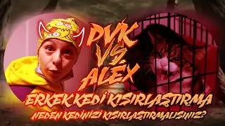 PVK VS. ALEX - Erkek Kedi Kısırlaştırma Operasyonu