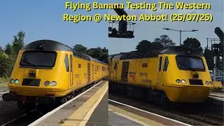 Flying Banana Testing The Western Region At Newton Abbot! (25/07/25)