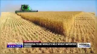 Indonesia Set to Become Asia's Largest Importer of Wheat