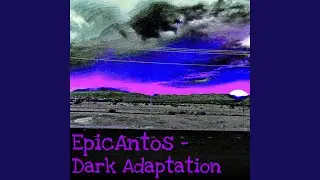 Dark Adaptation