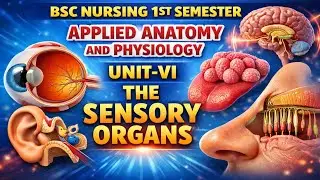 THE SENSORY ORGANS | Applied anatomy & physiology |Unit-6 | Bsc (N) 1st semester ( part-1)#sensory 