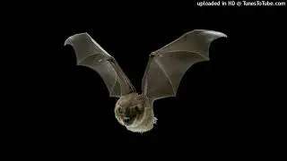 [FREE] Redda x Darkspin/Alien type Beat 2022 - &ldquo;reach for the sky&rdquo;