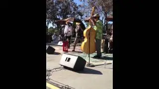 Billy Watson @ San Diego Spring Harp Fest #14 2013