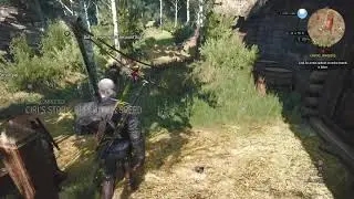 The Witcher 3 Wild Hunt Story Quest longplay (extra) (no commentary)
