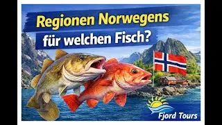 Norwegens Regionen: Wo fängst du welchen Fisch? | Angeln in Norwegen Guide - Fjord Tours