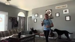 Teach Your Dog to Stay Calm at the Door: Doorbell Reactivity Training with 'Climb'
