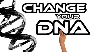 Epigenetics: How to Switch Your Genes On and Off!