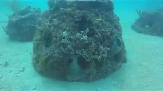 x  Griffin 6 2019 Golden Beach Eternal Reef site