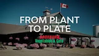 From Plant To Plate