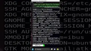 Use &lsquo;env&rsquo; to get Global Env Variables,and &lsquo;set&rsquo; to see Global and Local #shorts