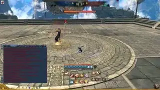 BNS NA 100% animation hack