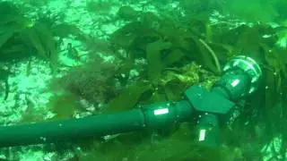 Tideflex outfall diffuser valves in operation