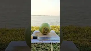 CRAZY Coconut Cutting Adventure by the River!