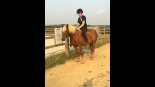 How tall people get on ponies bareback