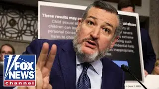'IMPEACH!': Cruz BLASTS judge for lax sentencing